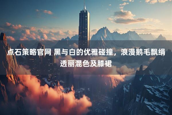 点石策略官网 黑与白的优雅碰撞，浪漫鹅毛飘绢透丽混色及膝裙