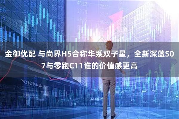 金御优配 与尚界H5合称华系双子星,全新深蓝S07与零跑C11谁的价值感更高
