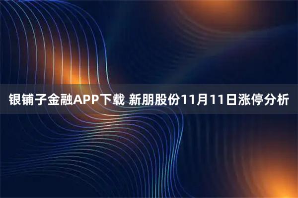 银铺子金融APP下载 新朋股份11月11日涨停分析