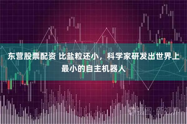 东营股票配资 比盐粒还小，科学家研发出世界上最小的自主机器人